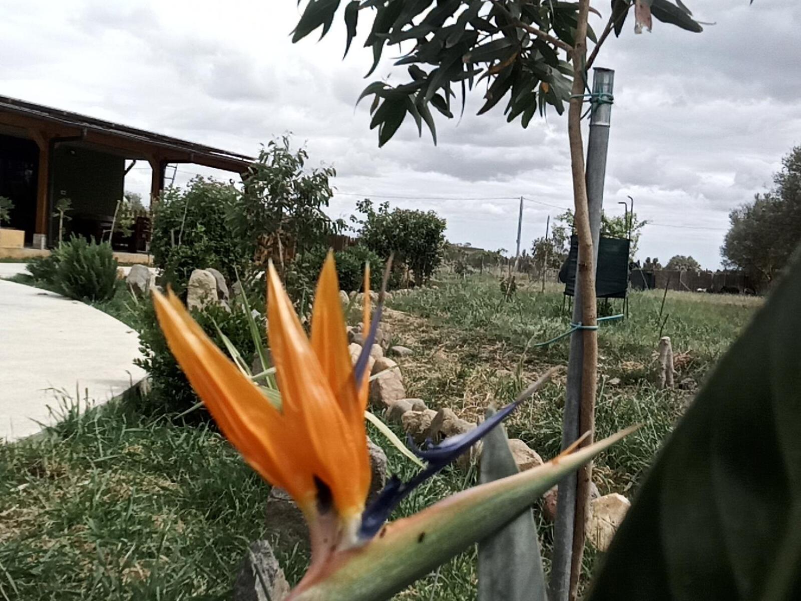 Podere Kiri Dome Experience Decimomannu Kültér fotó